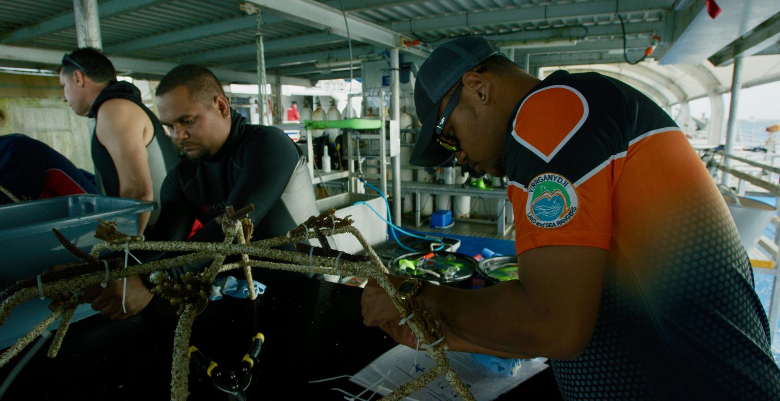 Dustin-Maloney-L-GBR-Biology-and-Malik-Thaiday-R-Yirrganydji-tying-coral-to-Reef-Stars-1536x790