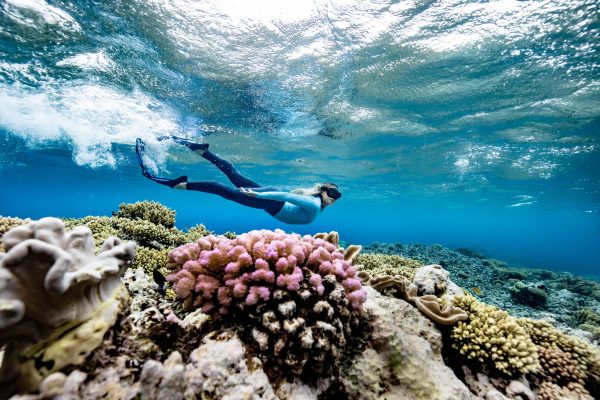 1 GBR Biology marine biologist Brittany Wassing at Moore Reef on the Great Barrier Reef. Image Luke Marsden